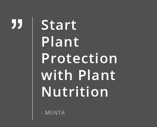 Start <br>Plant Protection with Plant Nutrition