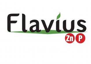 Flavius ZnP 